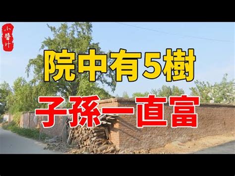 後院種樹風水|後院種什麼樹好 有什麼好的寓意